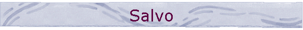 Salvo